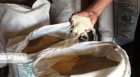 ترخیص برنج از گمرک از ابتدای شهریور ماه ممنوع شد